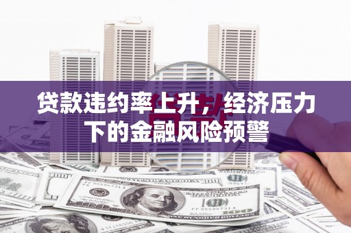 龙沙贷款违约率上升，经济压力下的金融风险预警