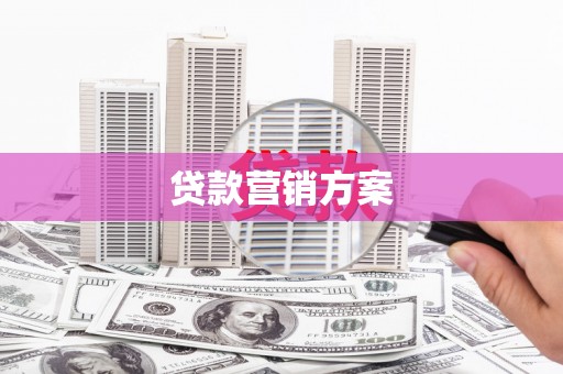 龙沙贷款营销方案
