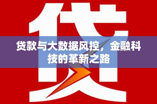 龙沙贷款与大数据风控，金融科技的革新之路
