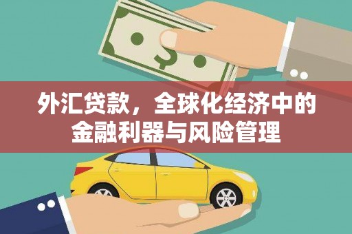 龙沙外汇贷款，全球化经济中的金融利器与风险管理