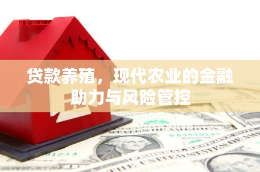 龙沙贷款养殖，现代农业的金融助力与风险管控