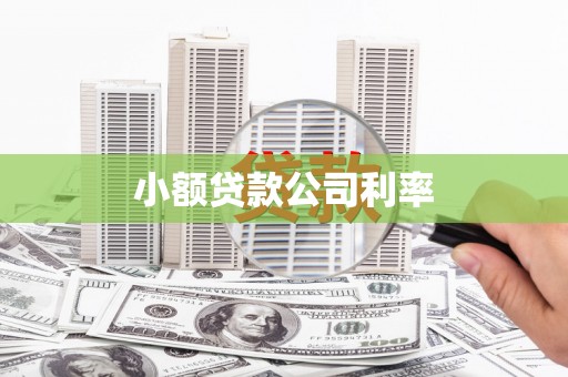 龙沙小额贷款公司利率