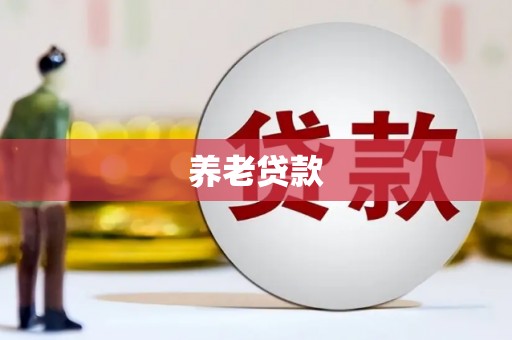龙沙养老贷款