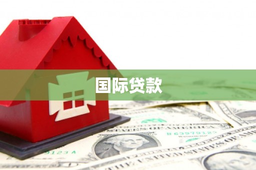 龙沙国际贷款