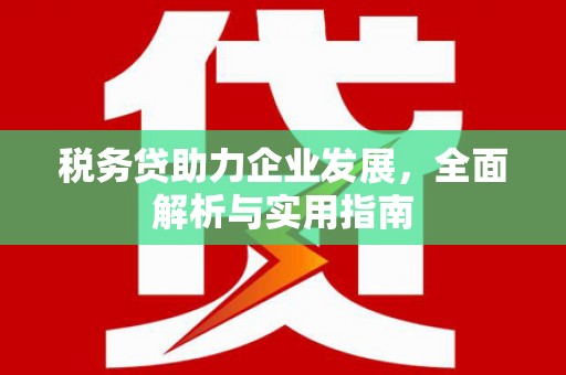 龙沙税务贷助力企业发展，全面解析与实用指南