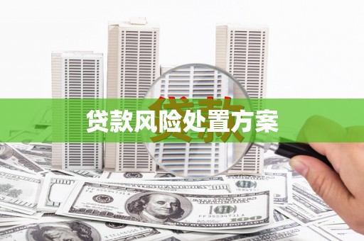 龙沙贷款风险处置方案