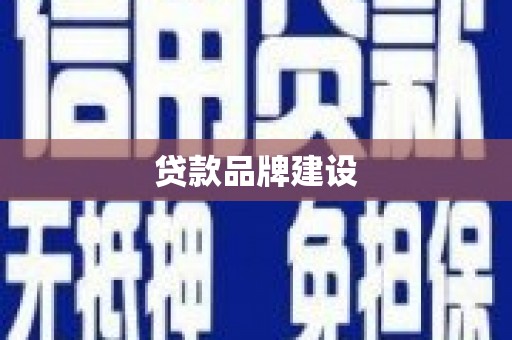 龙沙贷款品牌建设