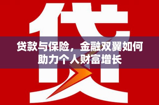 龙沙贷款与保险，金融双翼如何助力个人财富增长