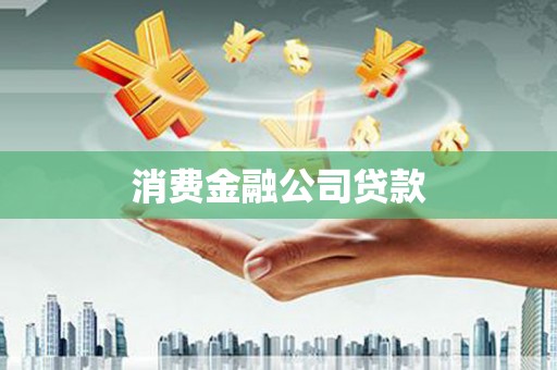 龙沙消费金融公司贷款