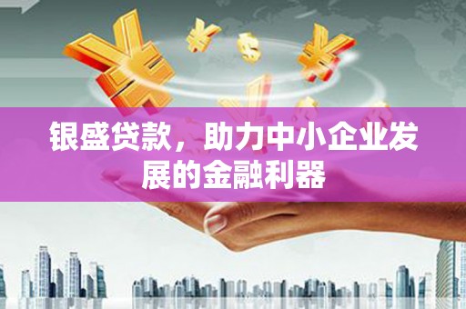 龙沙银盛贷款，助力中小企业发展的金融利器