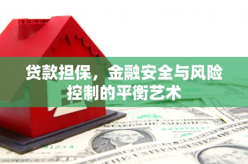 龙沙贷款担保，金融安全与风险控制的平衡艺术