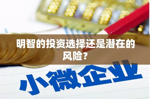 龙沙明智的投资选择还是潜在的风险？