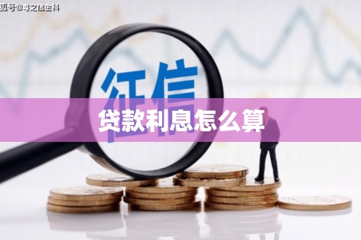 龙沙贷款利息怎么算