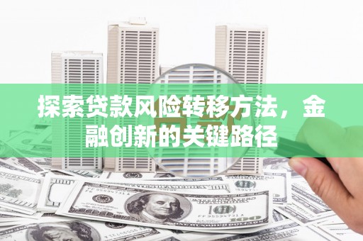 龙沙探索贷款风险转移方法，金融创新的关键路径