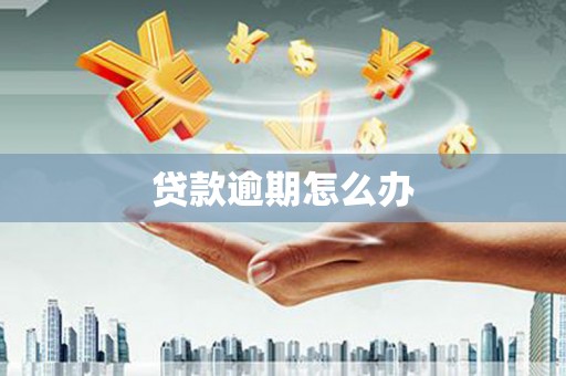 龙沙贷款逾期怎么办