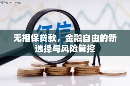 龙沙无担保贷款，金融自由的新选择与风险管控