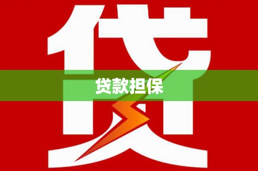 龙沙贷款担保