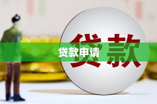 龙沙贷款申请