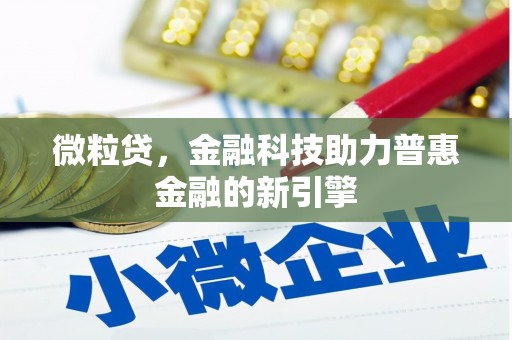 龙沙微粒贷，金融科技助力普惠金融的新引擎