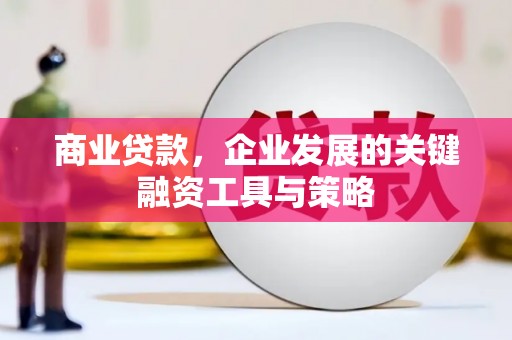 龙沙商业贷款，企业发展的关键融资工具与策略