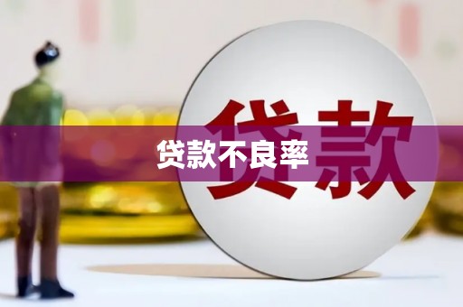 龙沙贷款不良率