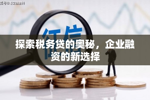 龙沙探索税务贷的奥秘，企业融资的新选择