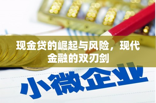 龙沙现金贷的崛起与风险，现代金融的双刃剑