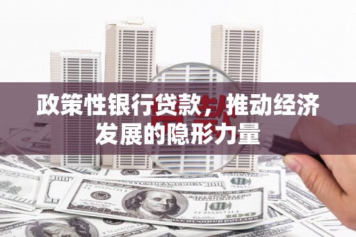 龙沙政策性银行贷款，推动经济发展的隐形力量