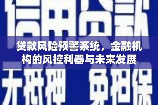 龙沙贷款风险预警系统，金融机构的风控利器与未来发展