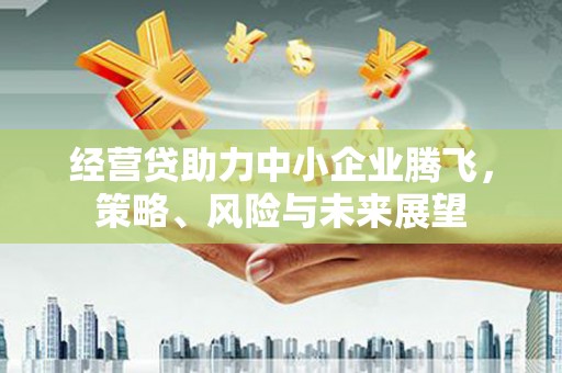 龙沙经营贷助力中小企业腾飞，策略、风险与未来展望