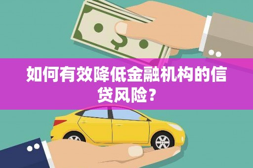 龙沙如何有效降低金融机构的信贷风险？