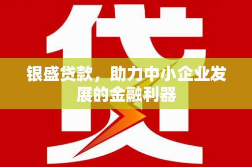 龙沙银盛贷款，助力中小企业发展的金融利器
