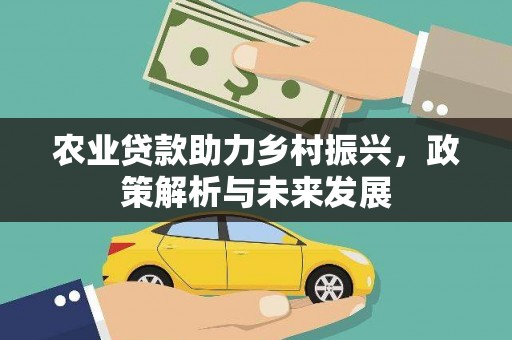 龙沙农业贷款助力乡村振兴，政策解析与未来发展