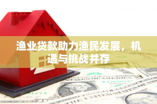龙沙渔业贷款助力渔民发展，机遇与挑战并存
