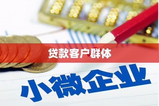 龙沙贷款客户群体