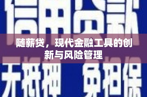龙沙随薪贷，现代金融工具的创新与风险管理