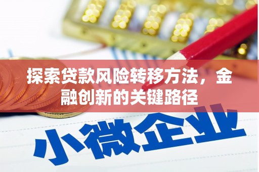龙沙探索贷款风险转移方法，金融创新的关键路径
