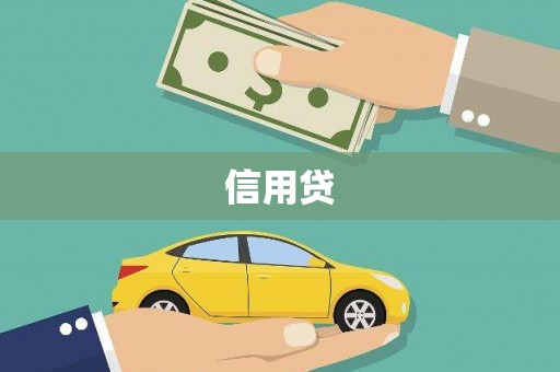 龙沙信用贷