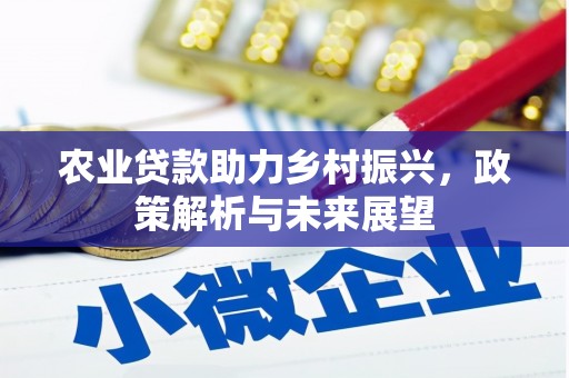 龙沙农业贷款助力乡村振兴，政策解析与未来展望