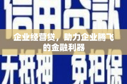 龙沙企业经营贷，助力企业腾飞的金融利器