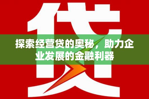龙沙探索经营贷的奥秘，助力企业发展的金融利器