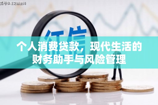 龙沙个人消费贷款，现代生活的财务助手与风险管理