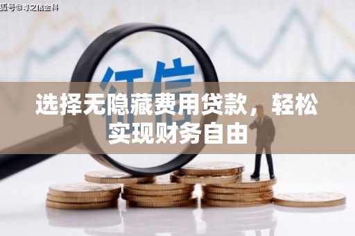 龙沙选择无隐藏费用贷款，轻松实现财务自由