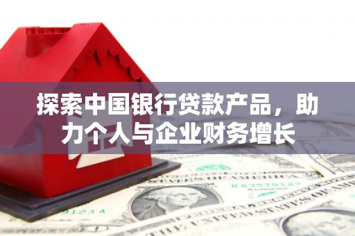 龙沙探索中国银行贷款产品，助力个人与企业财务增长