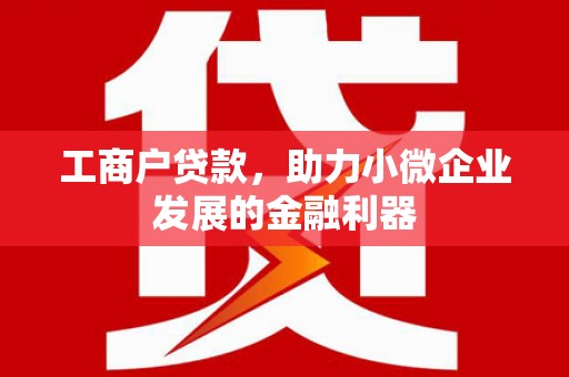 龙沙工商户贷款，助力小微企业发展的金融利器