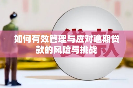 龙沙如何有效管理与应对逾期贷款的风险与挑战