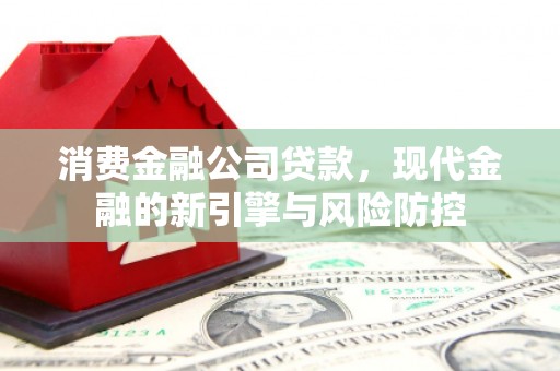 龙沙消费金融公司贷款，现代金融的新引擎与风险防控
