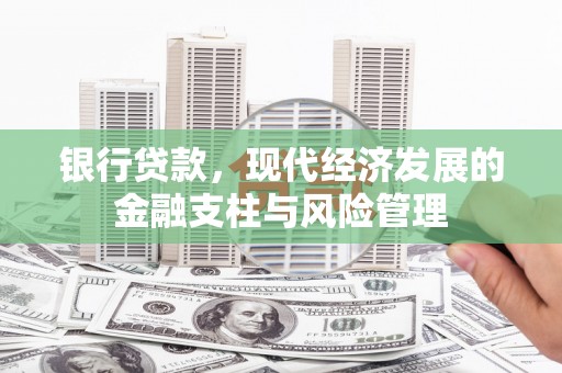 龙沙银行贷款，现代经济发展的金融支柱与风险管理