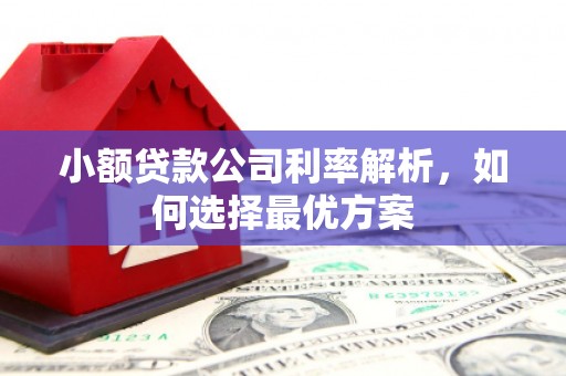 龙沙小额贷款公司利率解析，如何选择最优方案