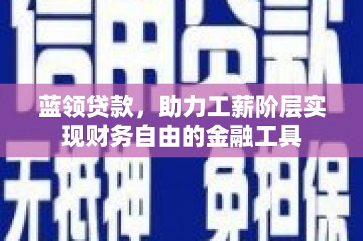 龙沙蓝领贷款，助力工薪阶层实现财务自由的金融工具
